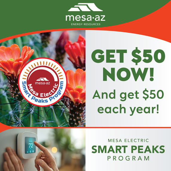 summer electric assistance