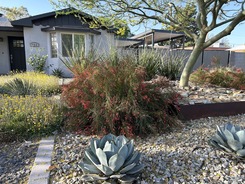 McVay Xeriscape