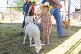 Lehi Rodeo