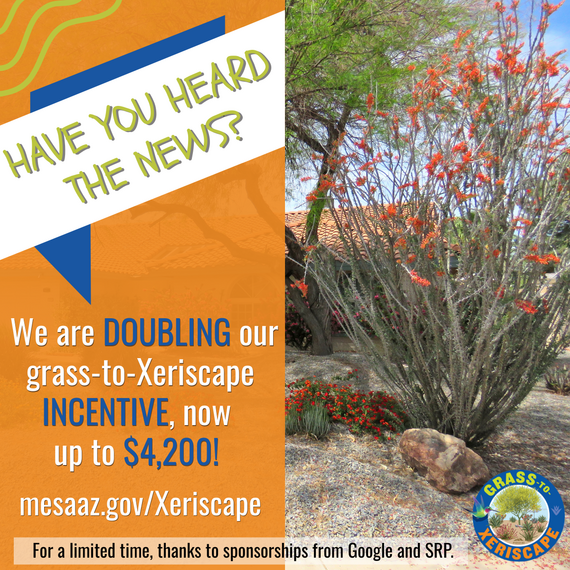 Grass to Xeriscape graphic
