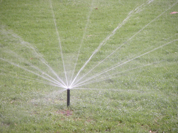 hoa-water