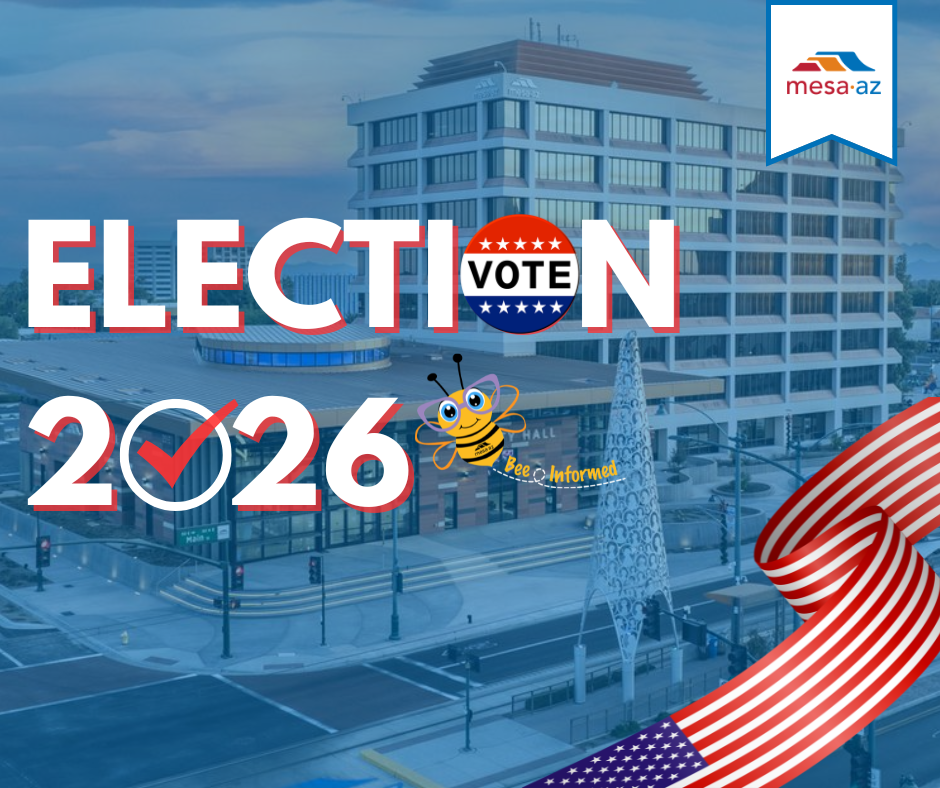Generic 2026 primary election graphic