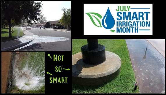 irrigation
