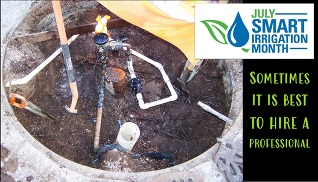 Smart Irrigation Month
