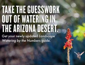 Watering Workshop