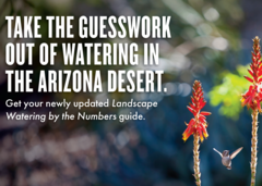 Watering Workshop