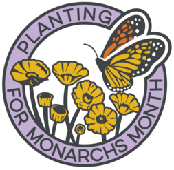 Planting for Monarchs