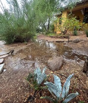 Rainwater Harvesting