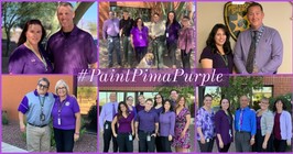 Paint Pima Purple