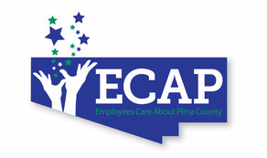 ECAP logo
