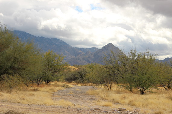 Adamson-Catino Trail