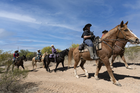 Horses at San Joaquin Trailhead