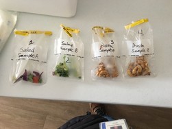 Food samples collected in plastic bags to be tested for possible contamination