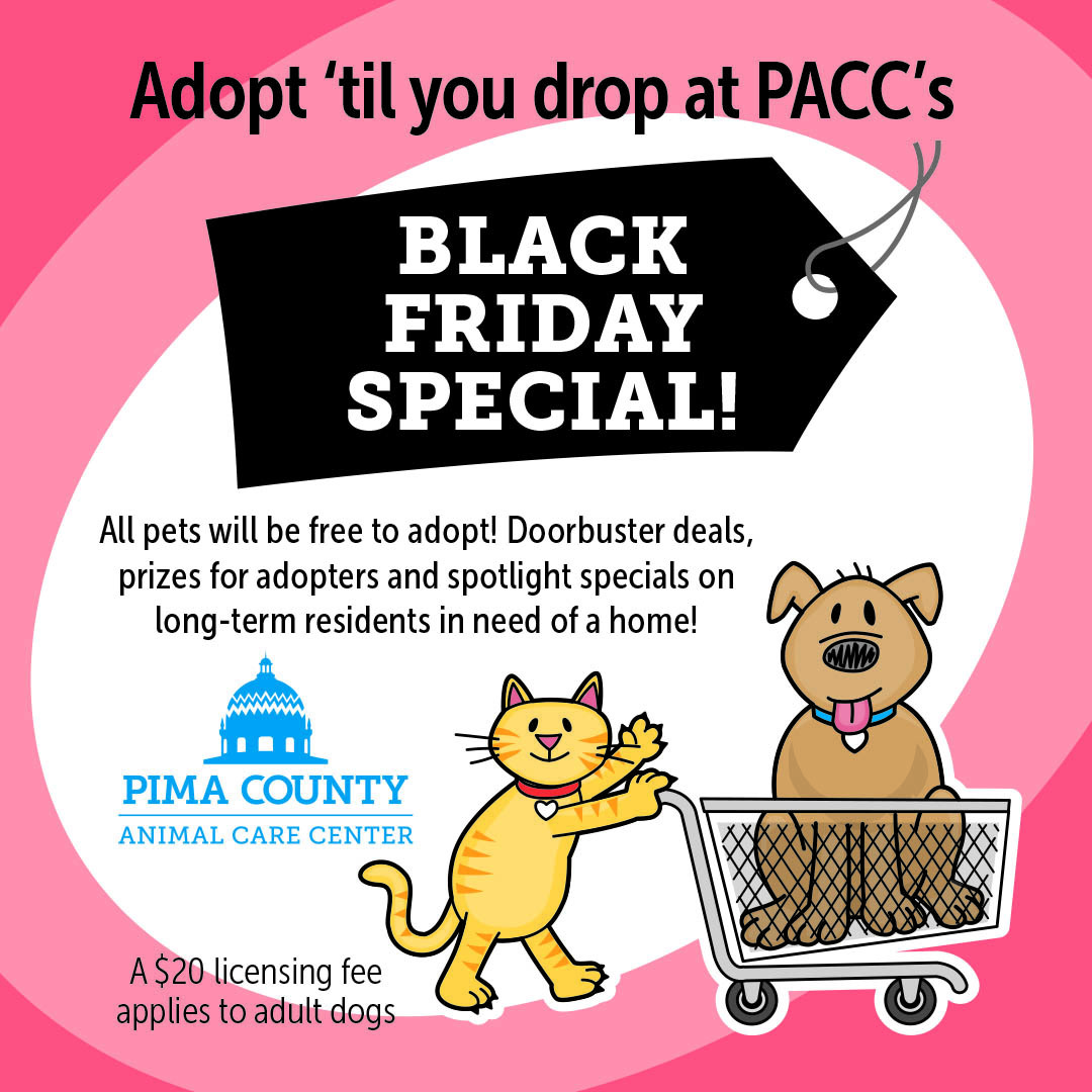 PACC offers Black Friday Special to encourage adoptions