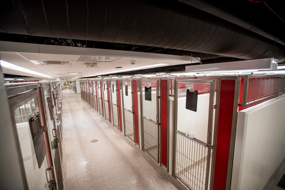 kennels at PACC