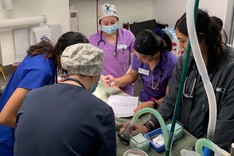 well done pacc photo