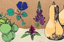 seed library primer