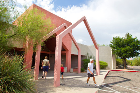 Nanini library construction