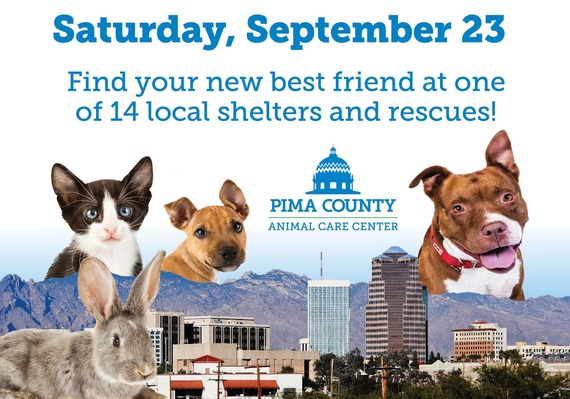 graphic advertising adoption event