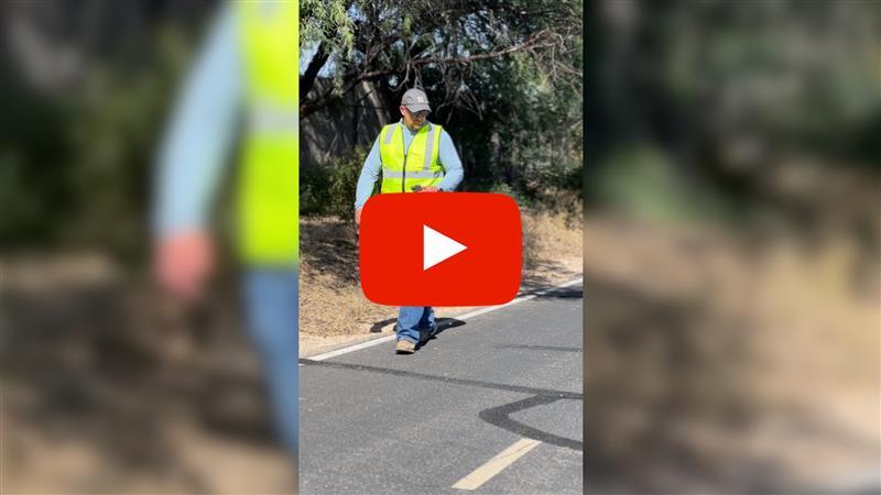 employees love jobs video