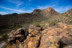 Tucson Mountain Park