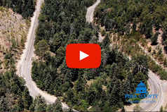 Mt. Lemmon Highway