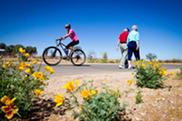 cyclists on The Loop