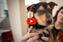 Upcoming PACC events