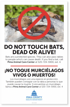 Rabies Bat Poster 