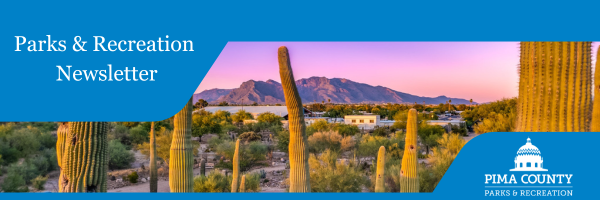 PR Newsletter Header