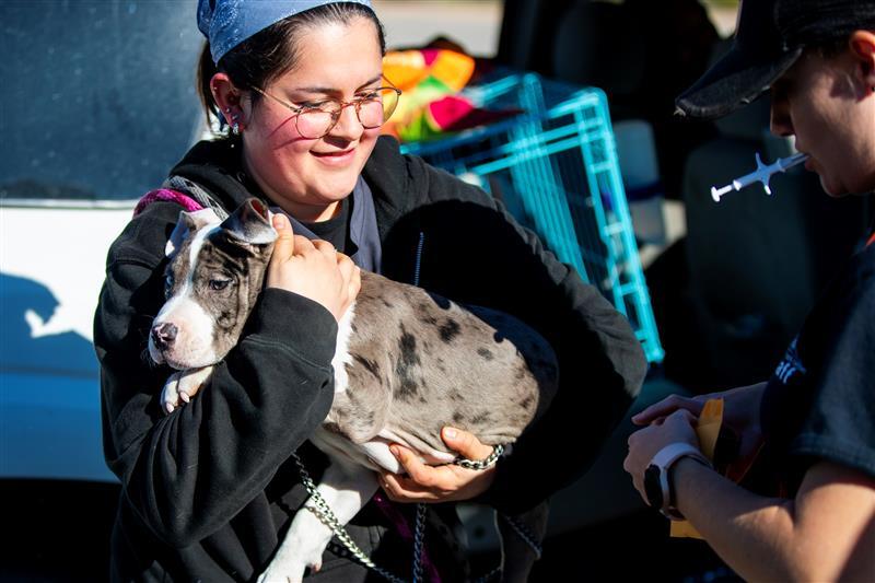 A dog helped by PACC