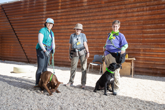 dogs with volunteers