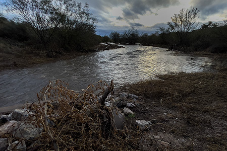 Arroyo Chico Greenway