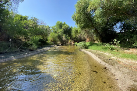 The Santa Cruz River