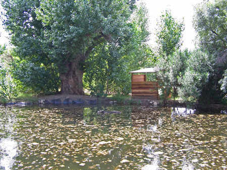 Catalina Regional Park