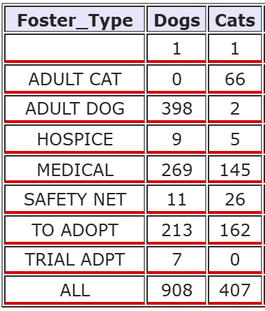 graph showing the number of animals in foster homes