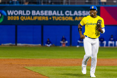 A scene from the World Baseball Classic