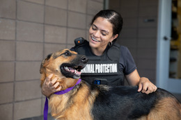 PACC Animal Protection team