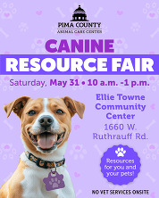 Canine Fair