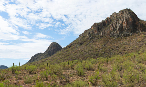 Ironwood Forest National Monument