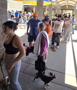 line of people and dogs at event