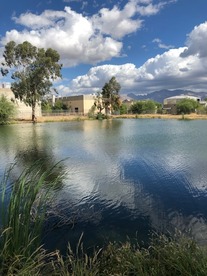 Pond at Agua Nueva