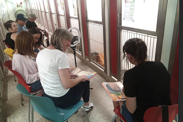 people reading to dogs