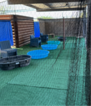 play yard