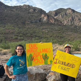 Ironwood National Forest