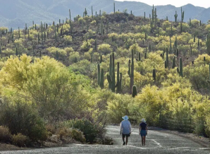 Sweetwater Preserve land