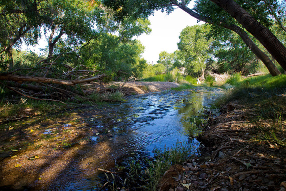 Cienega Creek