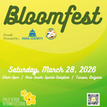 Palo Verde Bloom Festival