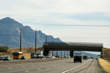 Wildlife crossing