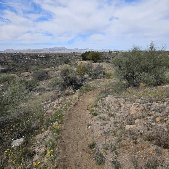 Catalina Regional Park